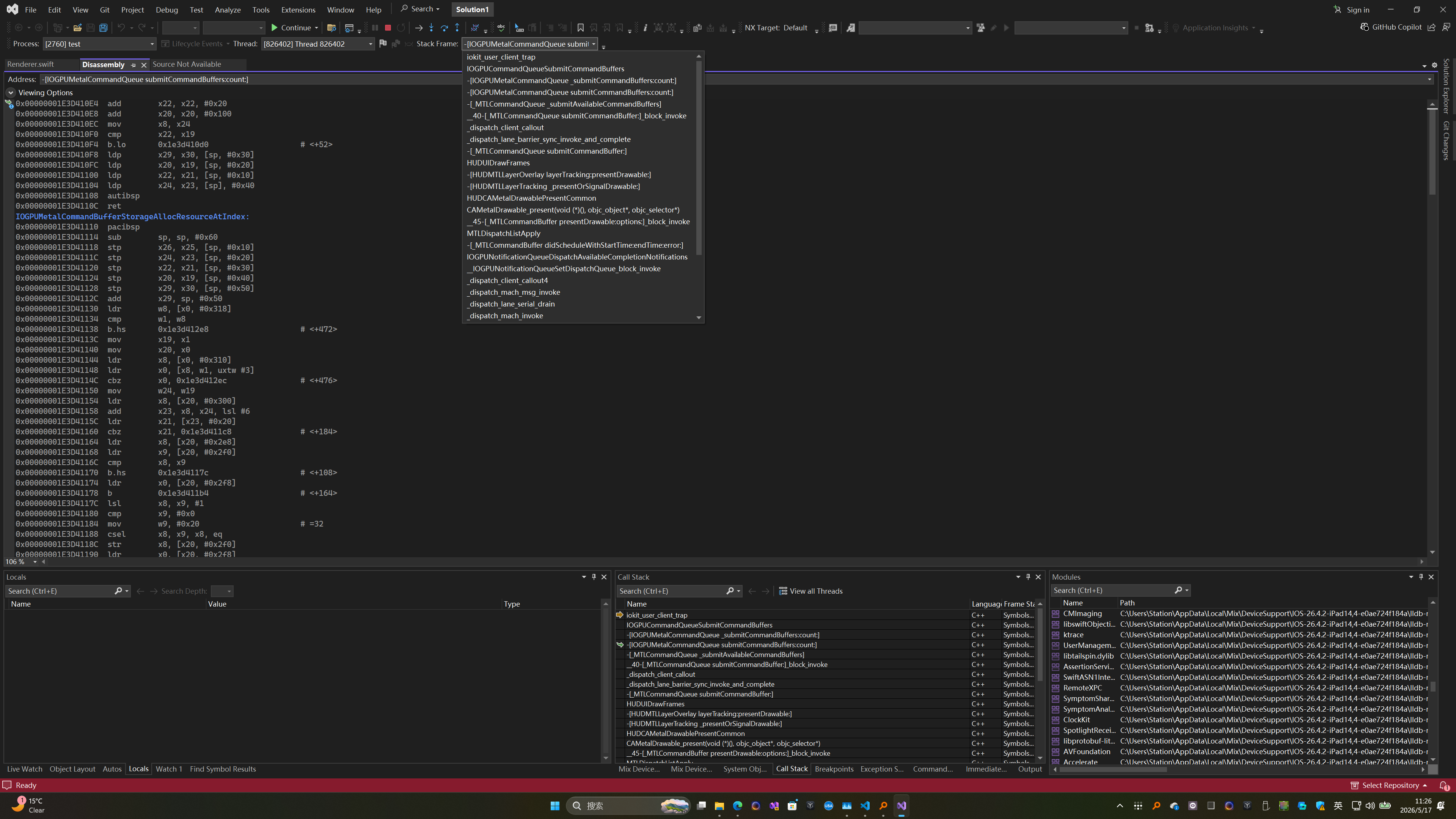 Visual Studio disassembly view
